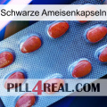 Black Ant Capsules 06